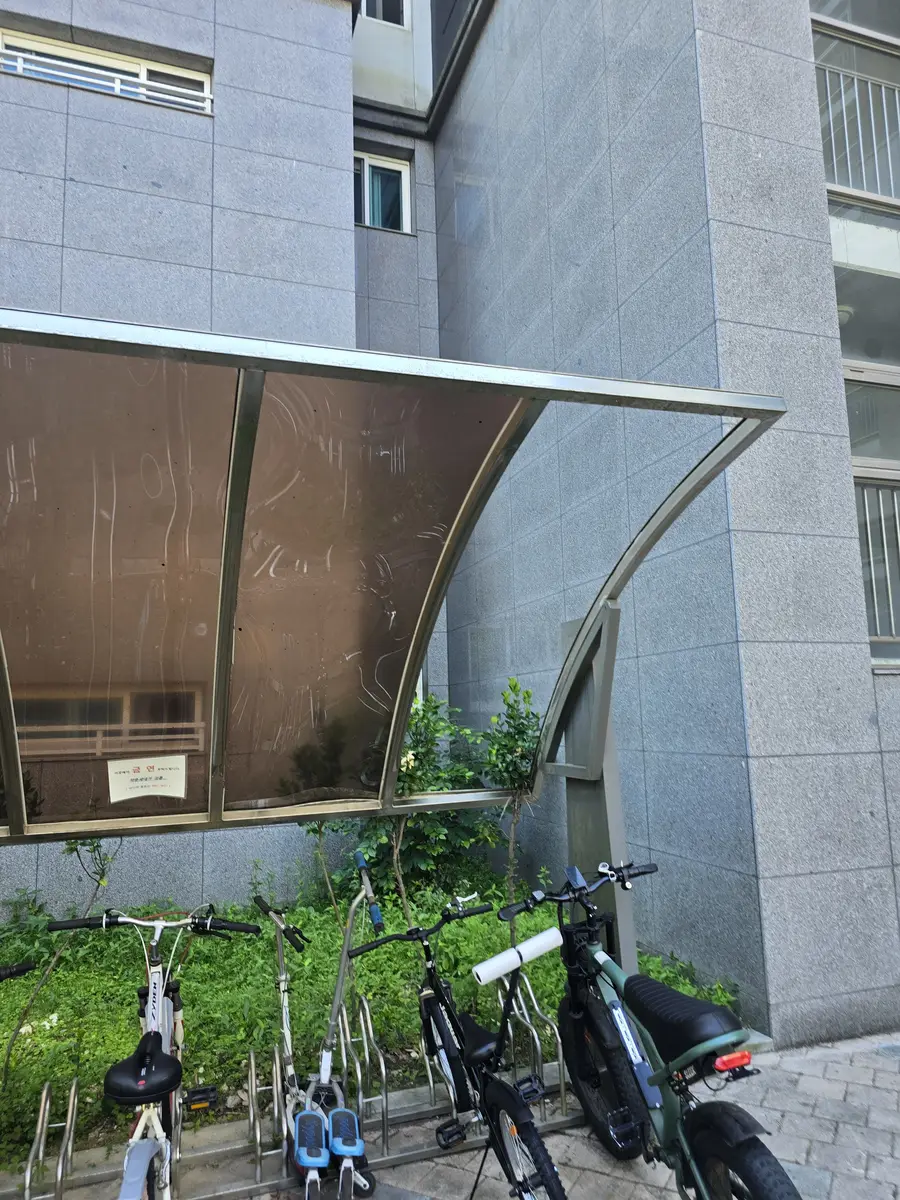 곡면 캐노피 렉산 점검 이전 보관대 전체 모습