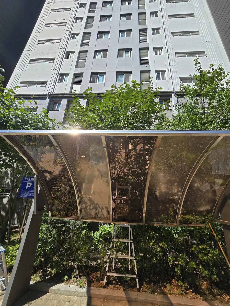 곡면 캐노피 렉산 파손 판재 교체 완료 하부
